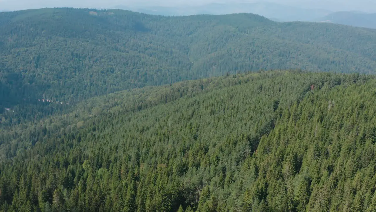 Magical green forest landscape of Golija in Serbia -aerial