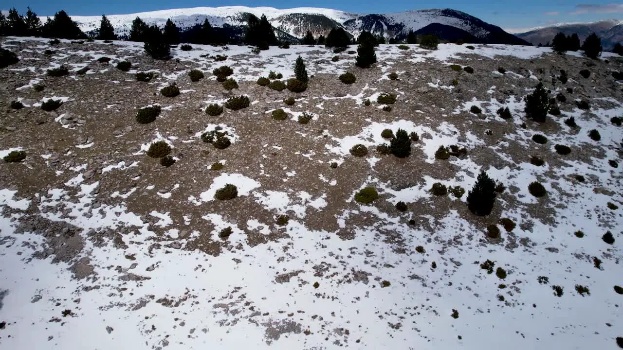 snowy landscape on a sunny day of an alpine forest on the top of a mountain in winter seen from a DJI drone in lateral flight