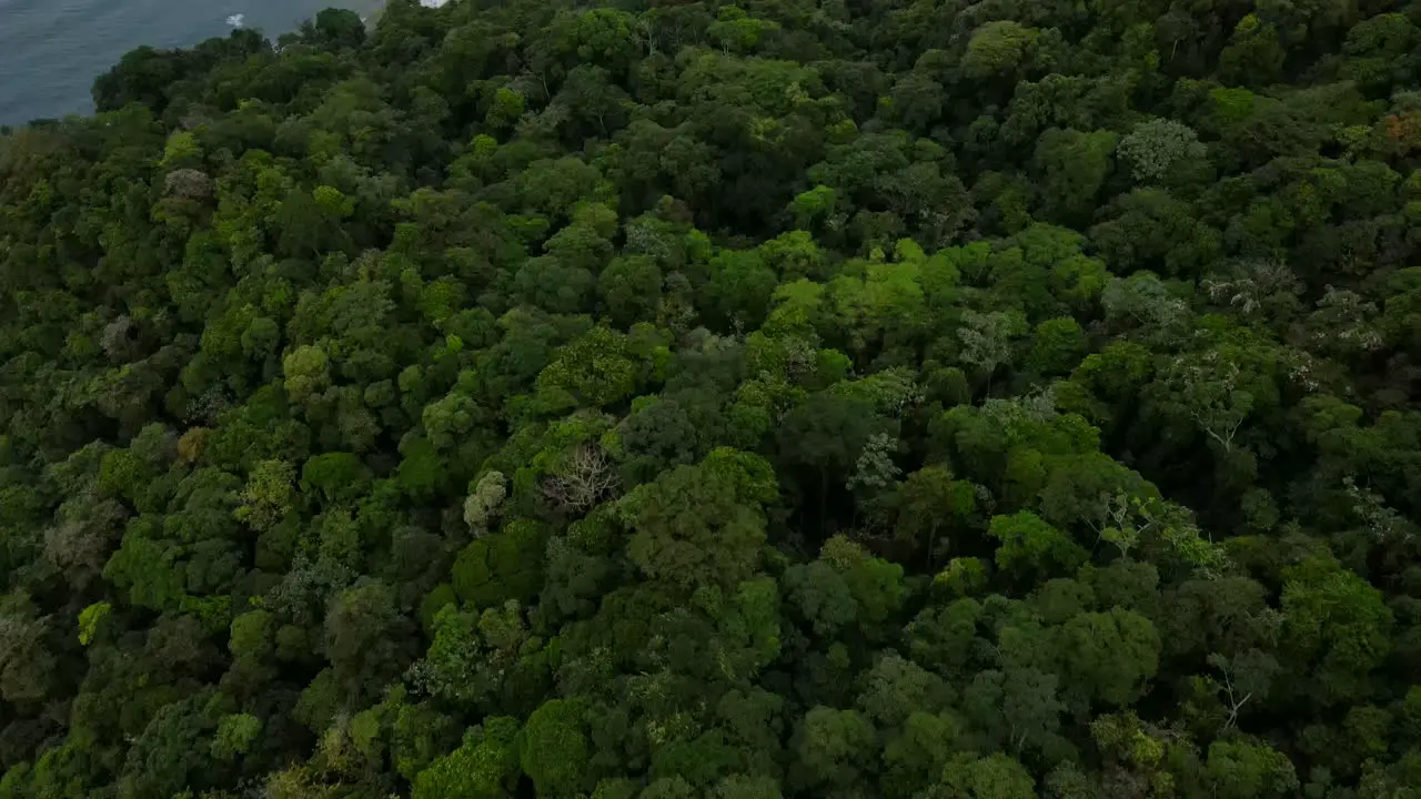 Panning up drone shot revealing the peninsula of Bahia Solano Colombia