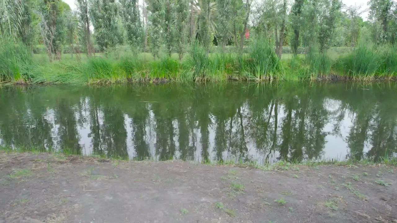 Pull-front from land to lake in middle of trees in natural area in Mexico City with reflection of vegetation