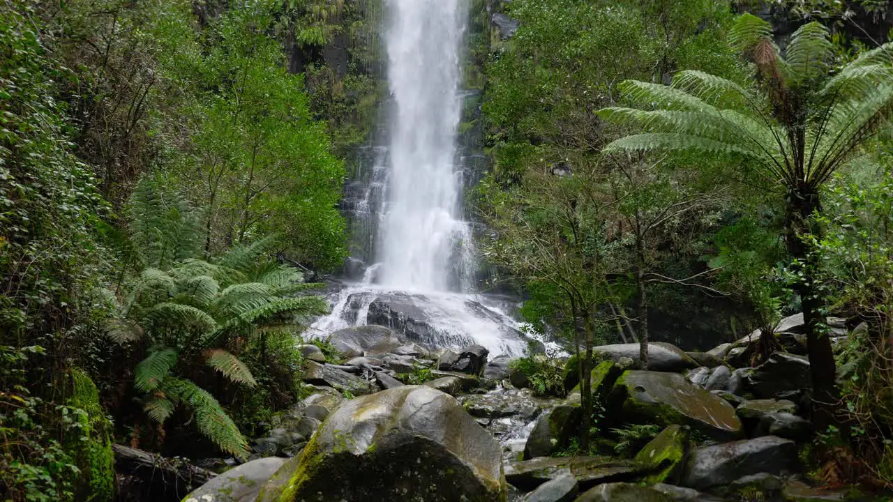 The beautiful Erskine Falls flowing through the forest of Australia wide shot