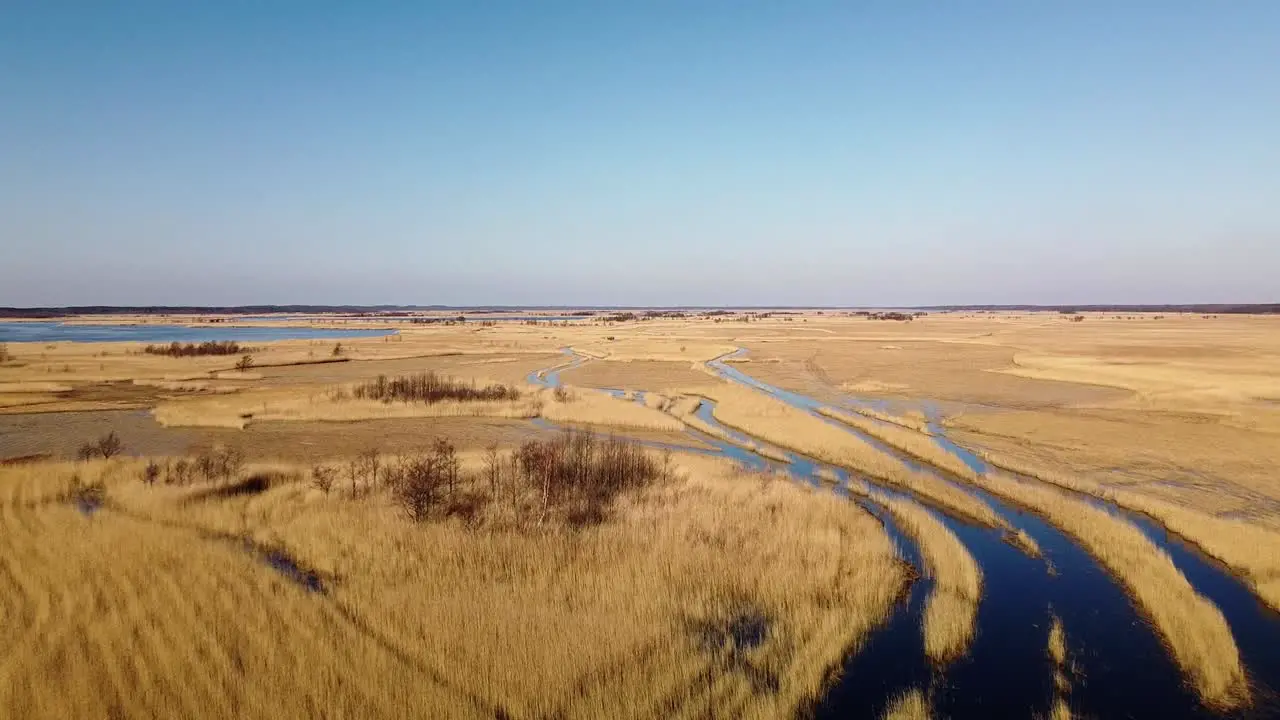 Aerial view of the lake overgrown with brown reeds lake Pape nature park Rucava Latvia sunny spring day wide angle drone shot moving forward