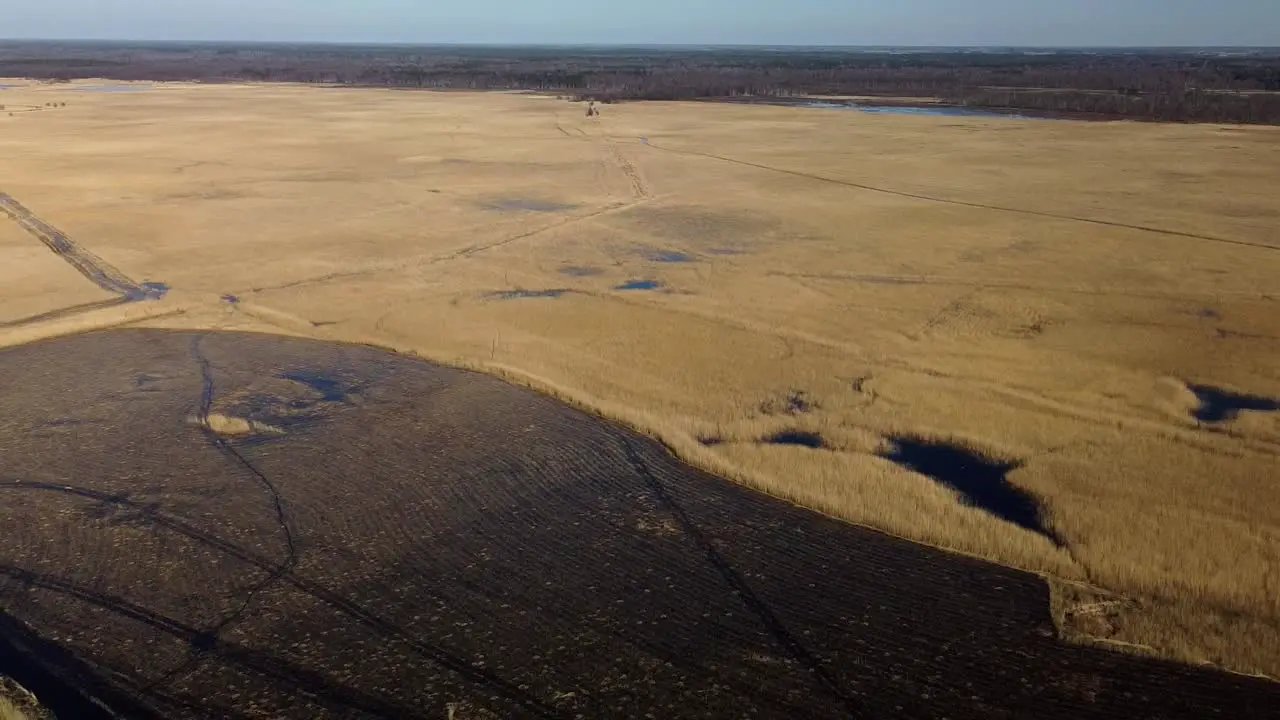 Aerial view of the lake overgrown with brown reeds lake Pape nature park Rucava Latvia sunny spring day wide angle drone shot panorama left