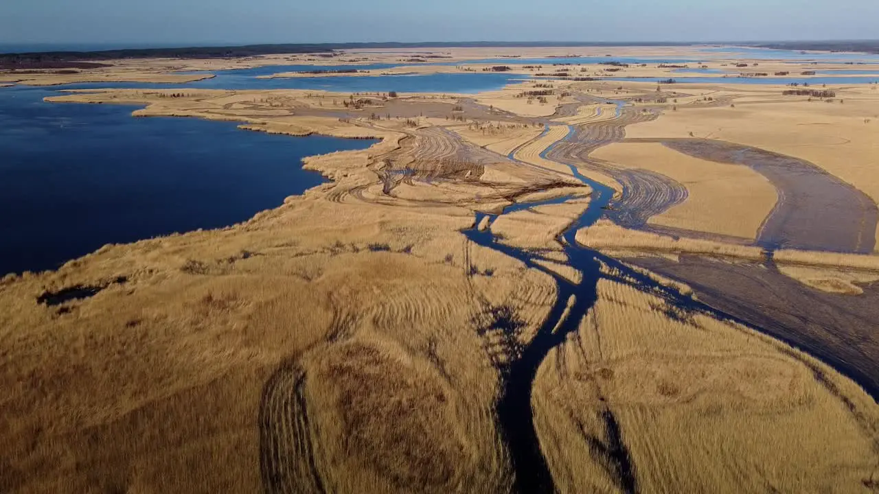 Aerial view of the lake overgrown with brown reeds lake Pape nature park Rucava Latvia sunny spring day wide angle drone shot moving forward birdseye view