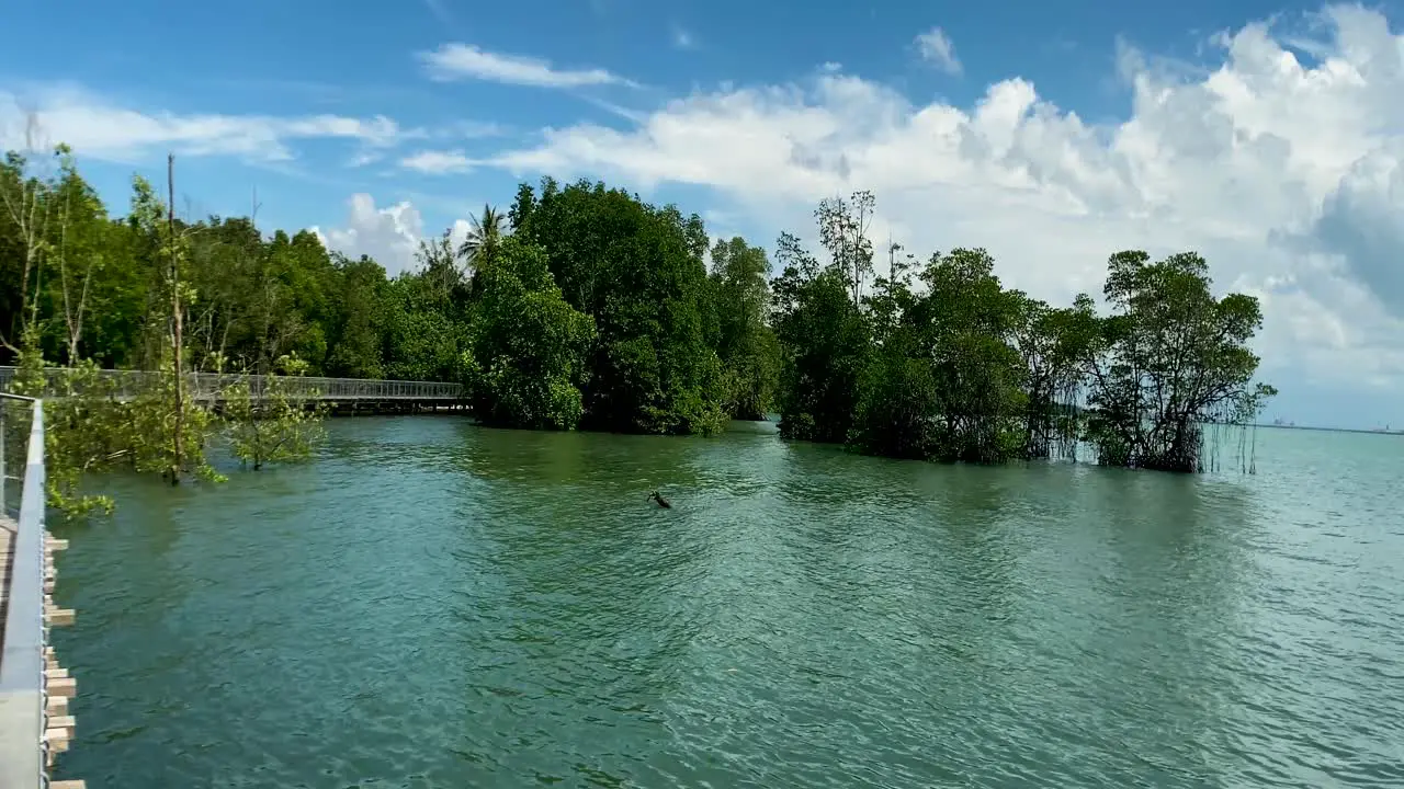 Beautiful nature view by the wooden walkway of the Chek Jawa Wetlands in Singapore