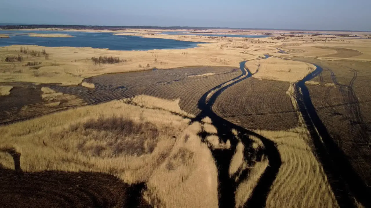 Aerial view of the lake overgrown with brown reeds lake Pape nature park Rucava Latvia sunny spring day wide angle drone dolly shot moving right