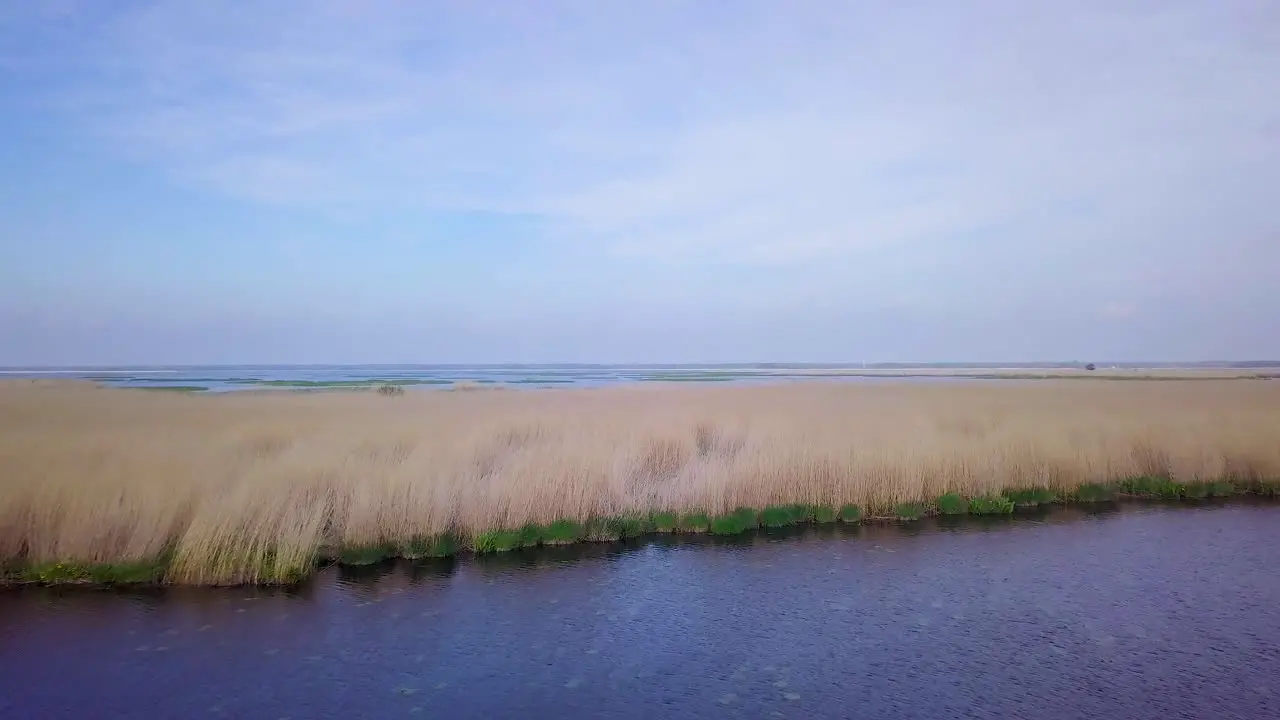 Aerial view of the lake overgrown with brown reeds and blue water lake Liepaja Latvia sunny day calm weather low wide angle drone shot moving forward