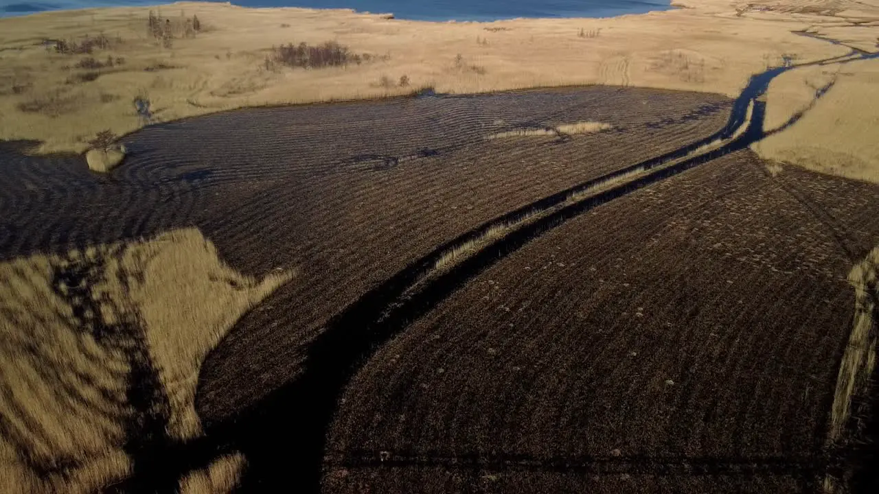 Aerial view of the lake overgrown with brown reeds lake Pape nature park Rucava Latvia sunny spring day wide angle birdseye drone shot panorama right