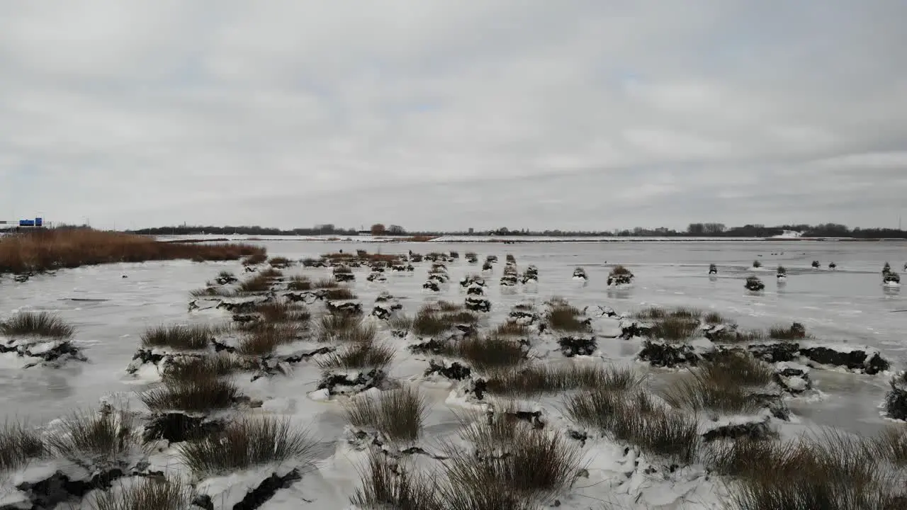 Snowscape Nature Reserve Of Crezeepolder Near Town Of Ridderkerk In South Holland Netherland