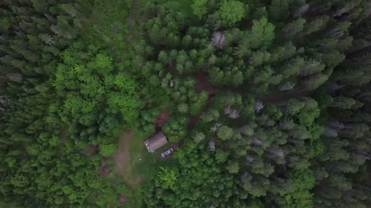 Pan left of tree tops in pine forest with a frame cabin and car in Nova Scotia in Canada during the day