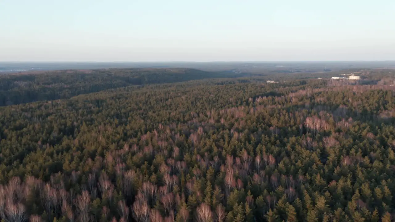 AERIAL Rotating Shot of Vast Forest Painted with Golden Light in Evening