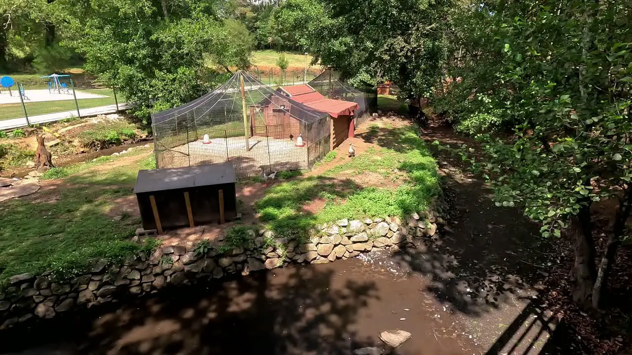 shelter of ducks and various birds in the middle of the public park on the island of the river during the summer drought shot from above Ordes Galicia Spain