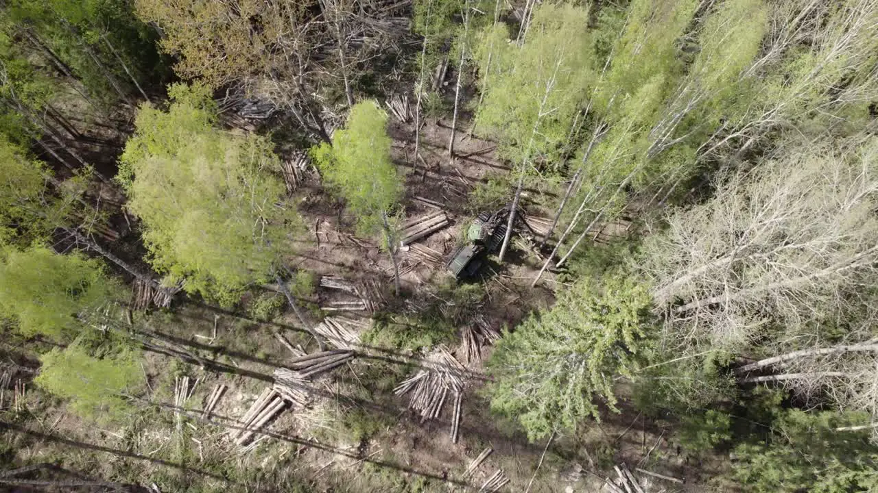 Aerial of tree harvester cutting deforesting a green forest