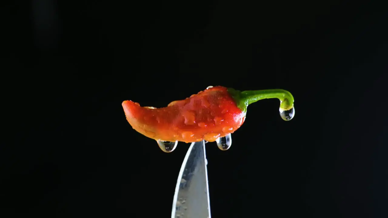 Red Chili Pepper Impaled on the Tip of Knife and Splashed with Water Droplets