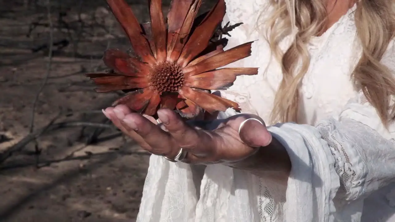 Blonde woman holding a burnt Fynbos flower with rings and a robe