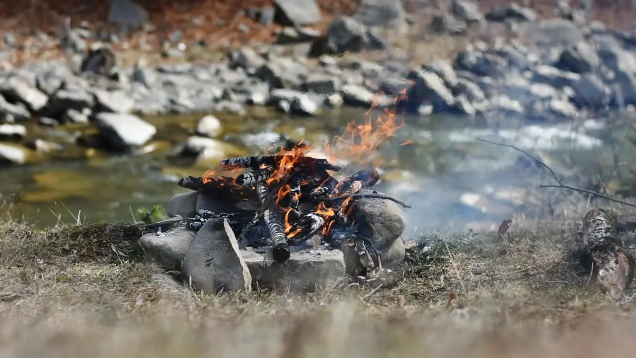 Burning campfire on the side of the river