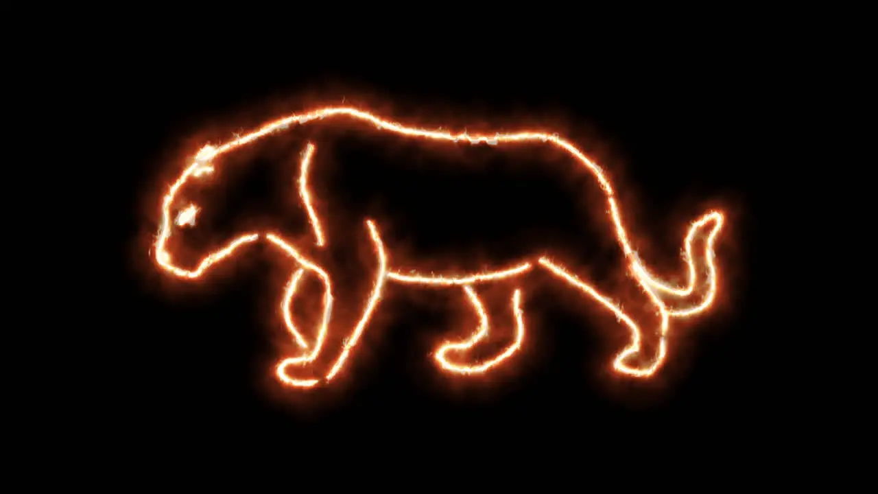 Lion Puma outline of burning flames and puma in neon lights