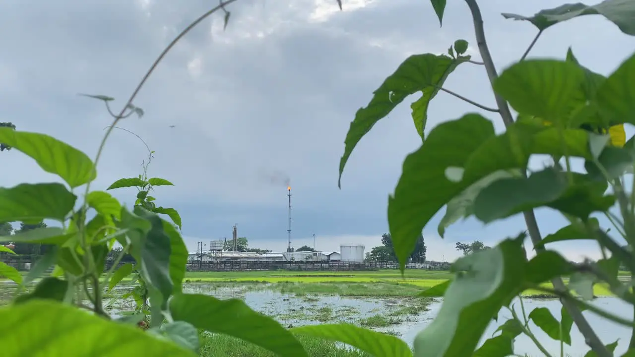 View Of Kailashtilla Gas Field Plant Seen Burning Orange Flame In Background Through Plants