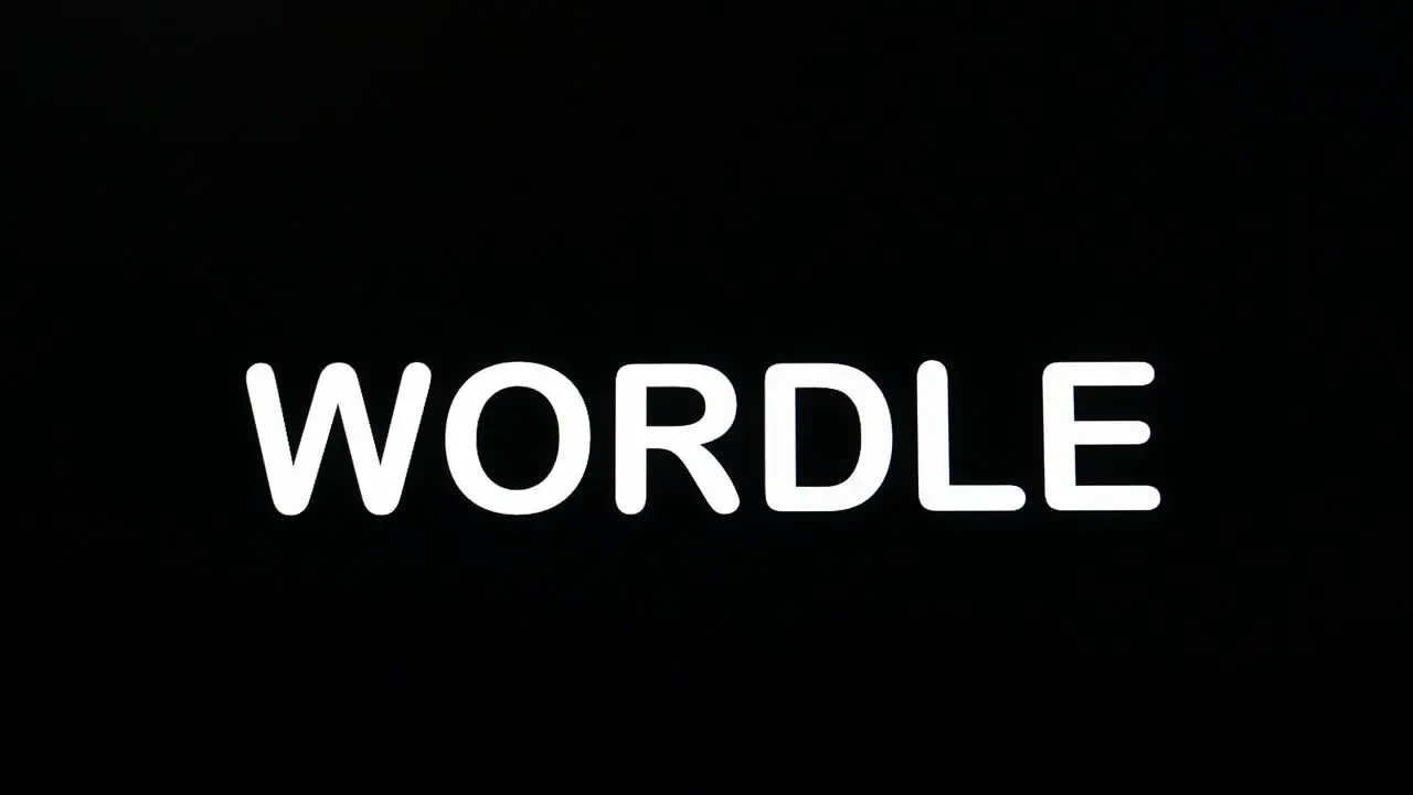 Typing on the screen with a flashing paragraph forming the word Wordle in white on a black background