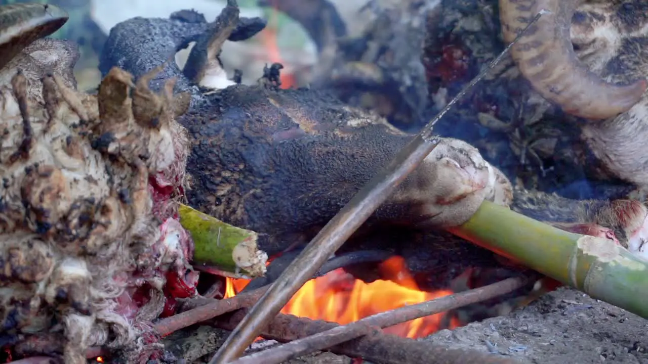 Goat's head is burnt on a stove full of fire