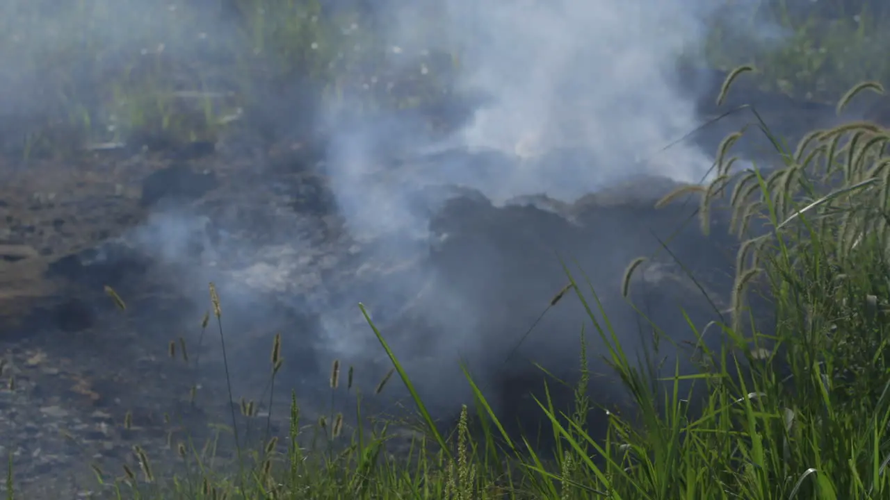 smoke rises from a smoldered fire