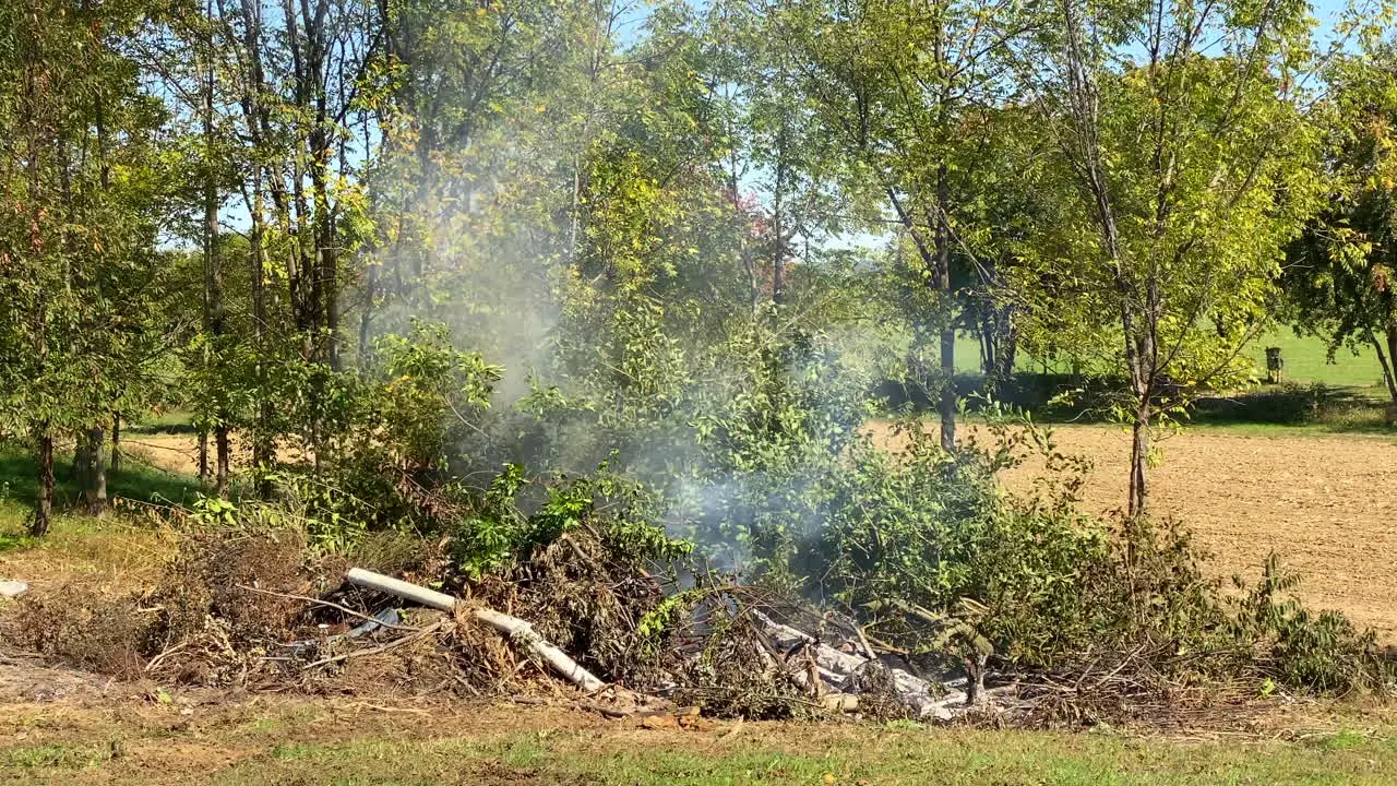 A brush fire burning up a pile of branches and rubbish