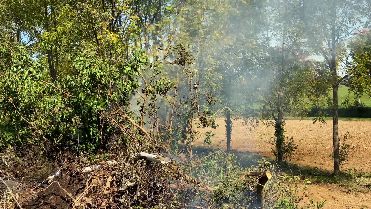 A pile of burning brush spewing smoke and black cinders into the sky