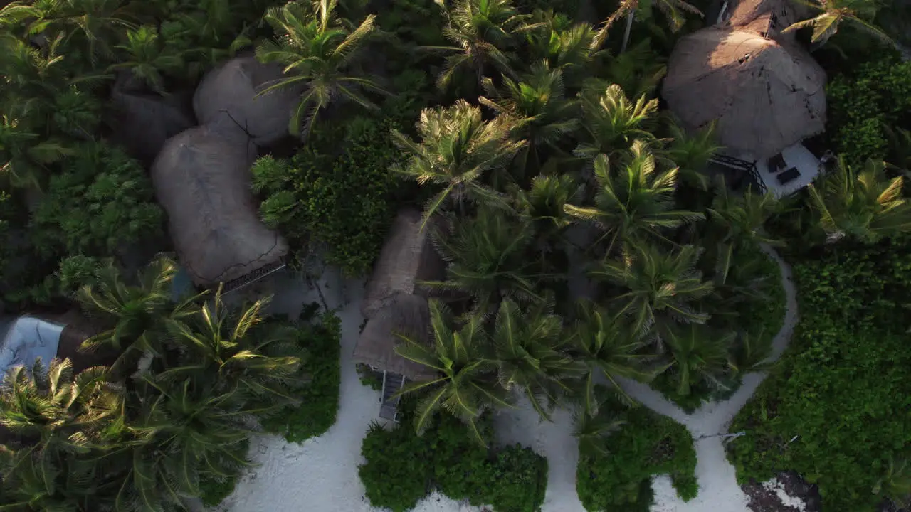 Top down aerial view of cabanas and huts on beautiful white sand beach in tropical paradise in Tulum Mexico