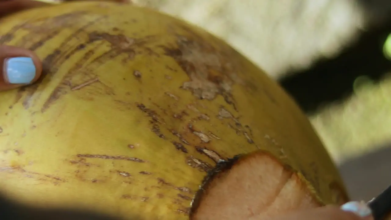 Close Up Shot of a person cutting open a fresh coconut with a machete