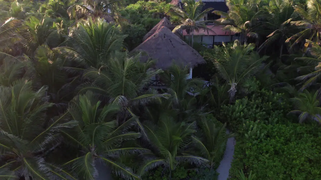 Cabin surrounded by palm trees in the beaches of Tulum Mexico