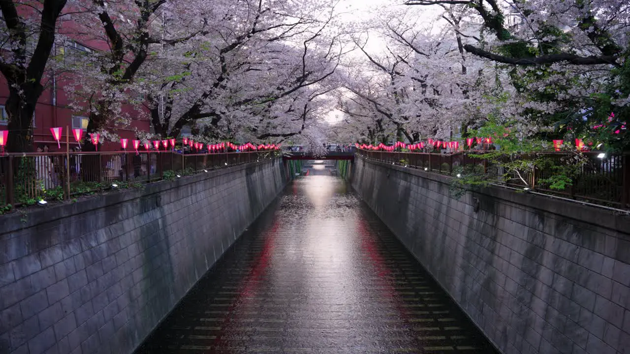 Long Canal at Meguro City in Tokyo Sakura Festival with Lanterns in Spring