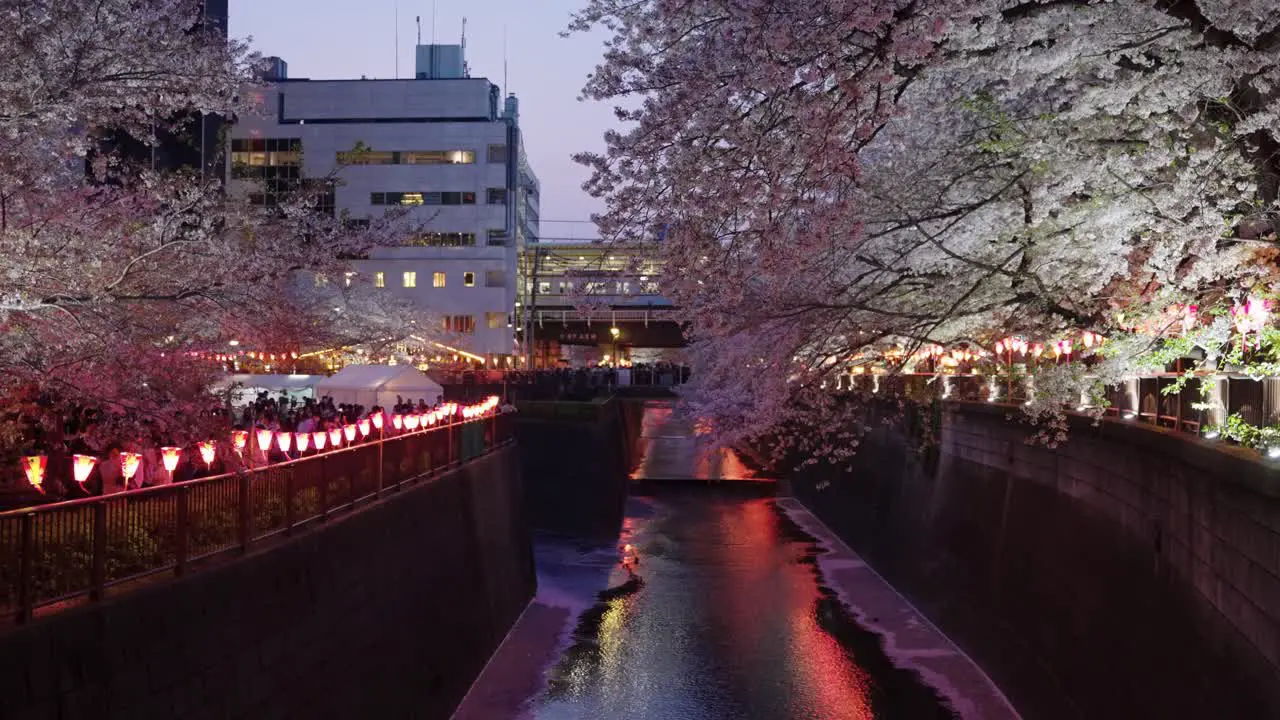 Sakura line the Nakameguro River in the Early Evening as Train Arrives