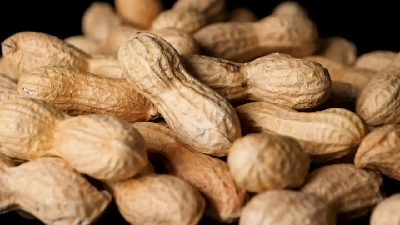 Peanuts in shell fall on table from above