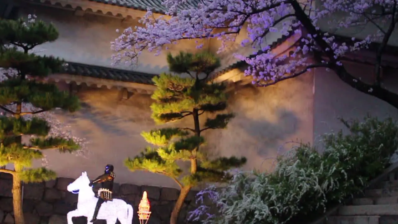 Tilting video of cherry blossom tree illuminated by artificial light at night and a samurai riding a horse decoration