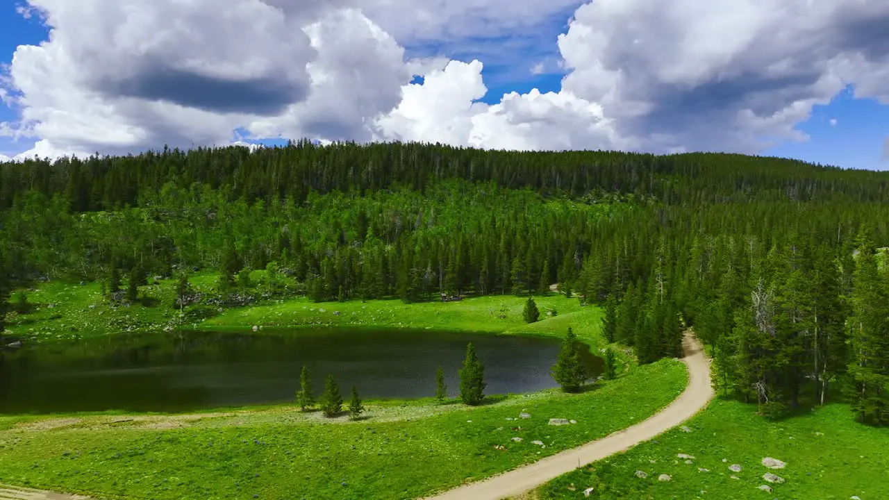 Aerial view of a beautiful lake surrounded by lush green forest in Wyoming during the summer