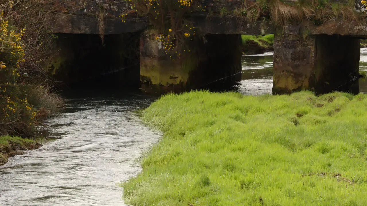 Mid shot of Carnon river with road bridge and sun flare