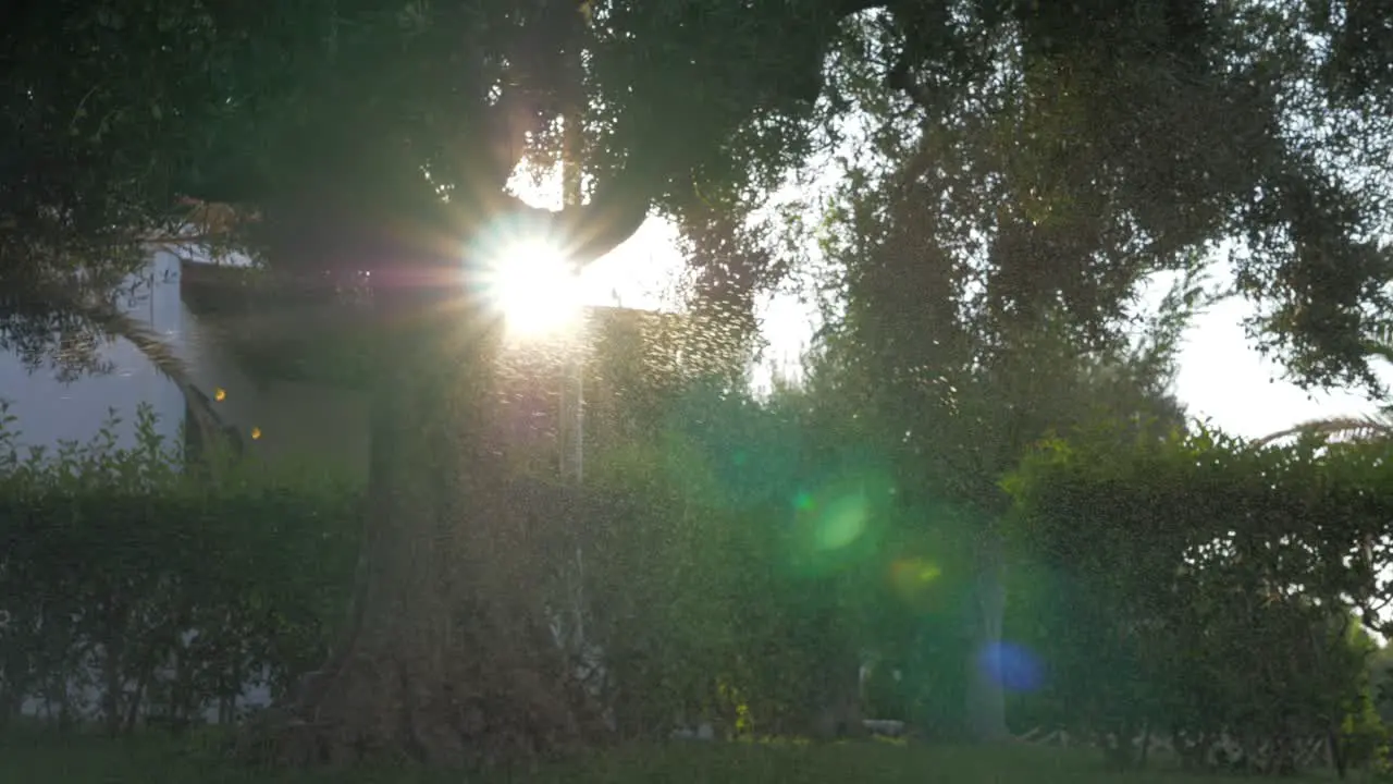 View to the garden through water drops in sun light