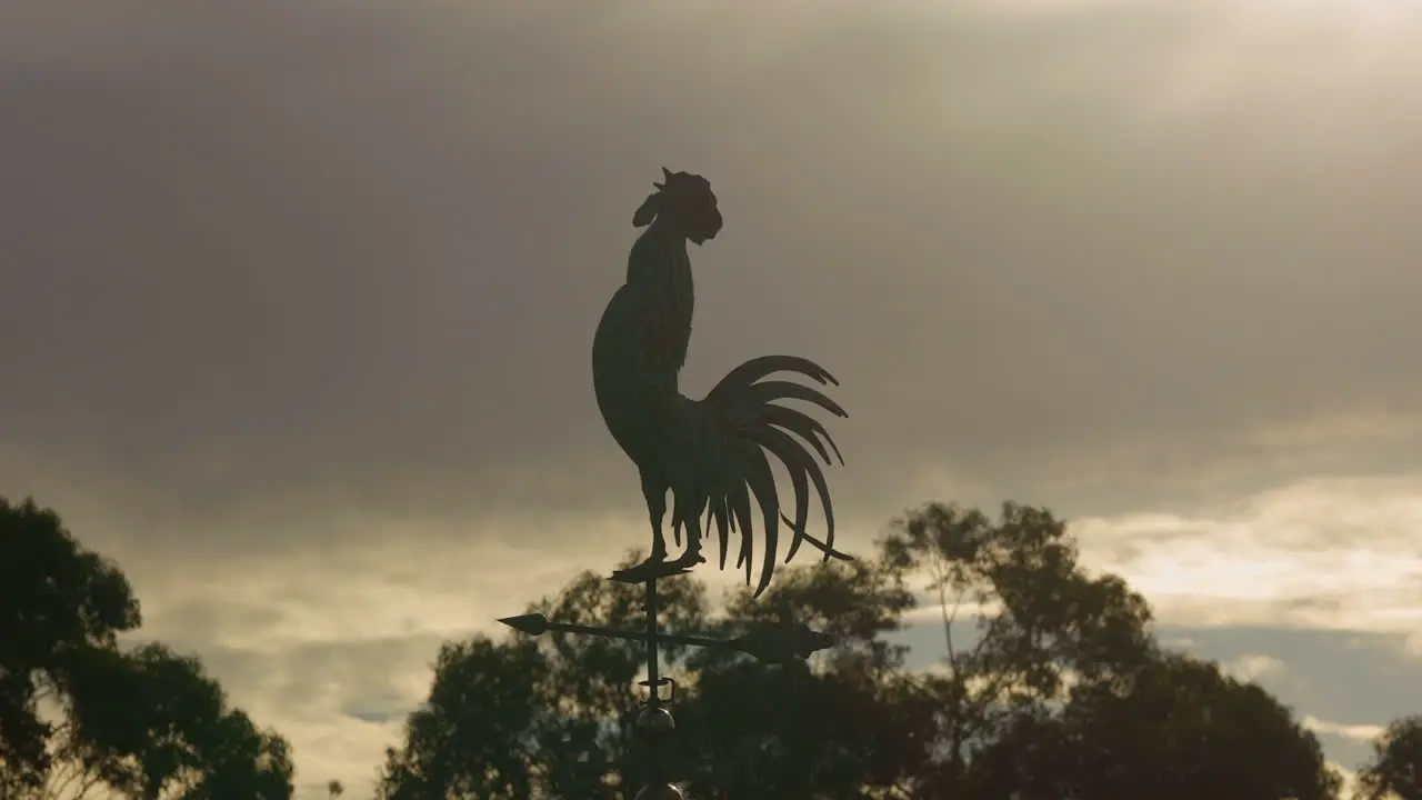 Rooster shaped wind vane at dusk-dawn low angle