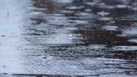 Long Shot of Heavy Rain Falling On the Ground 