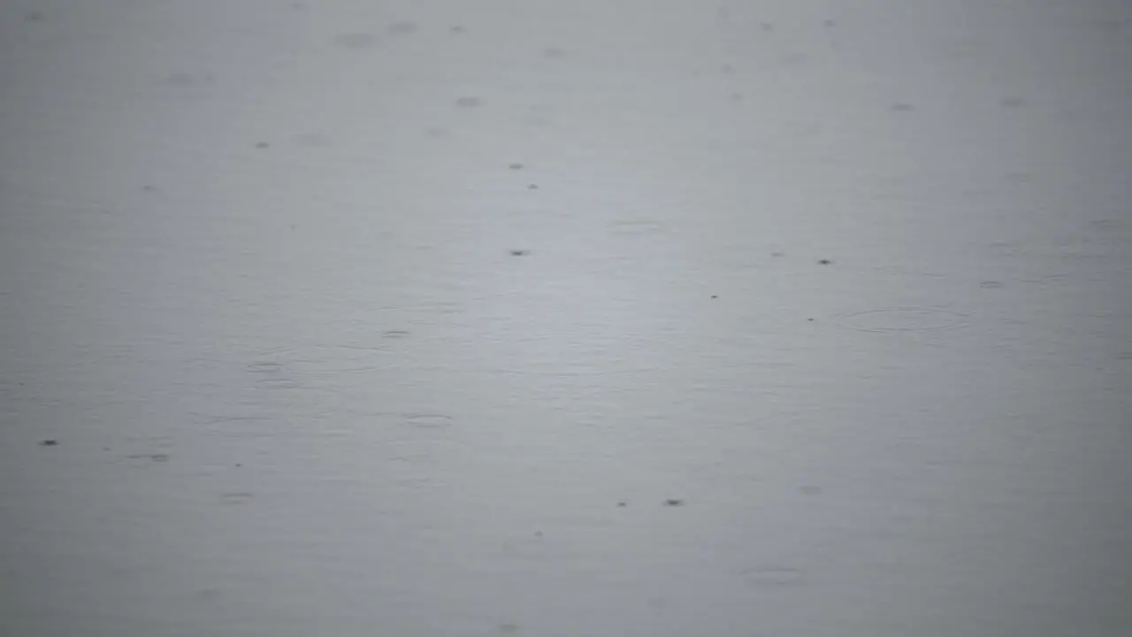 Rain causes ripples on the sruface of a lake