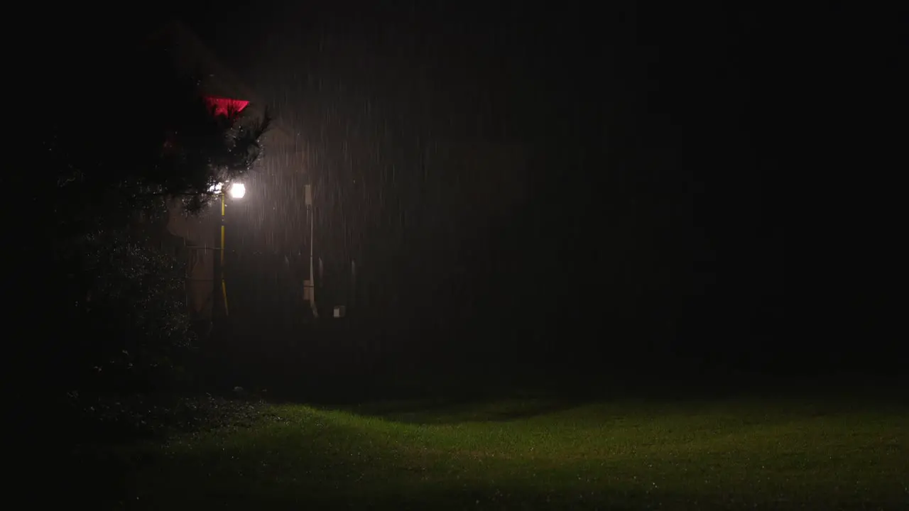 wide shot video of heavy rain over the field full of grass at night with a strong light