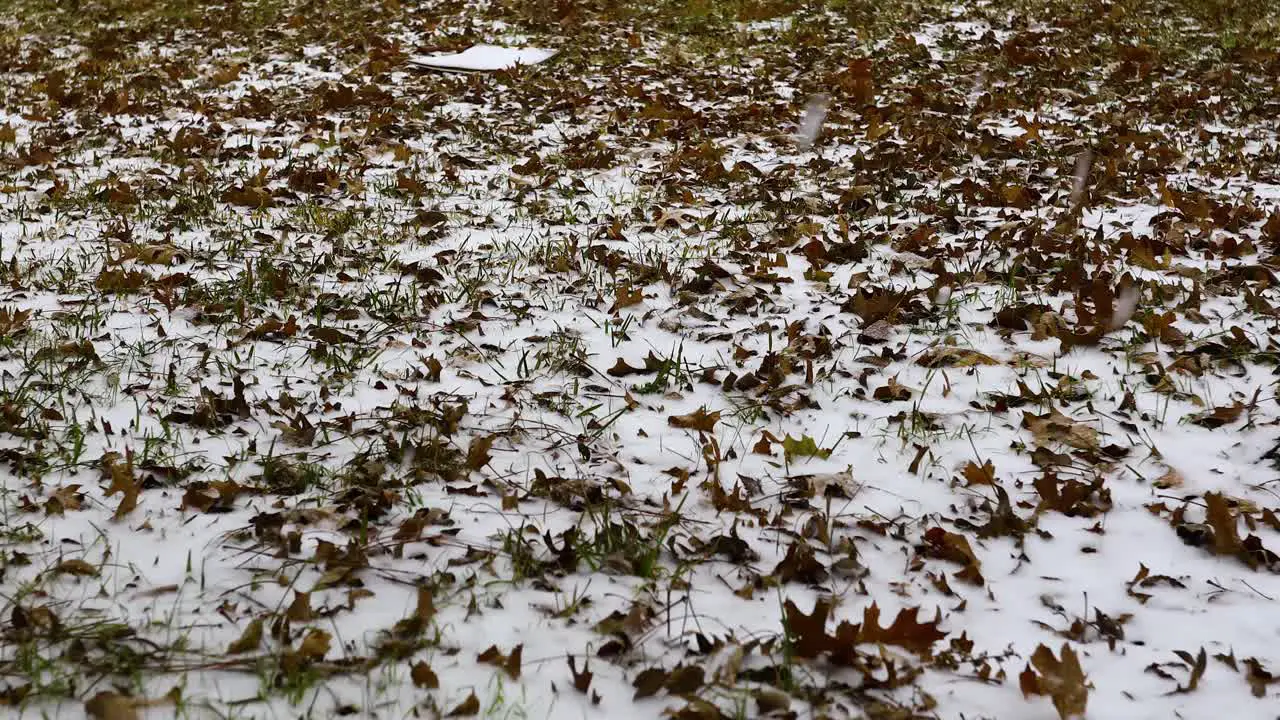 Static video of snow on the ground and more snow falling