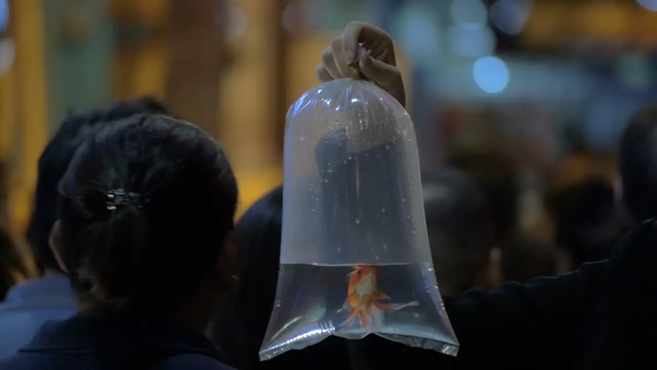 Plastic bag with fish in crowded street