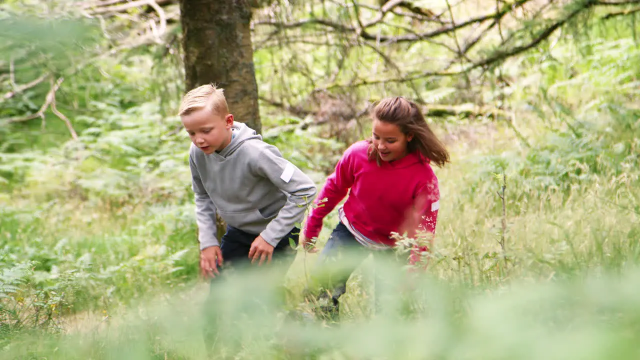 Two children walking in a forest amongst greenery handheld Lake District UK