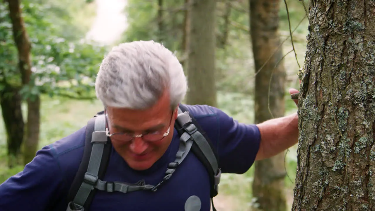 Middle aged man taking a break while hiking in a forest close up Lake District UK