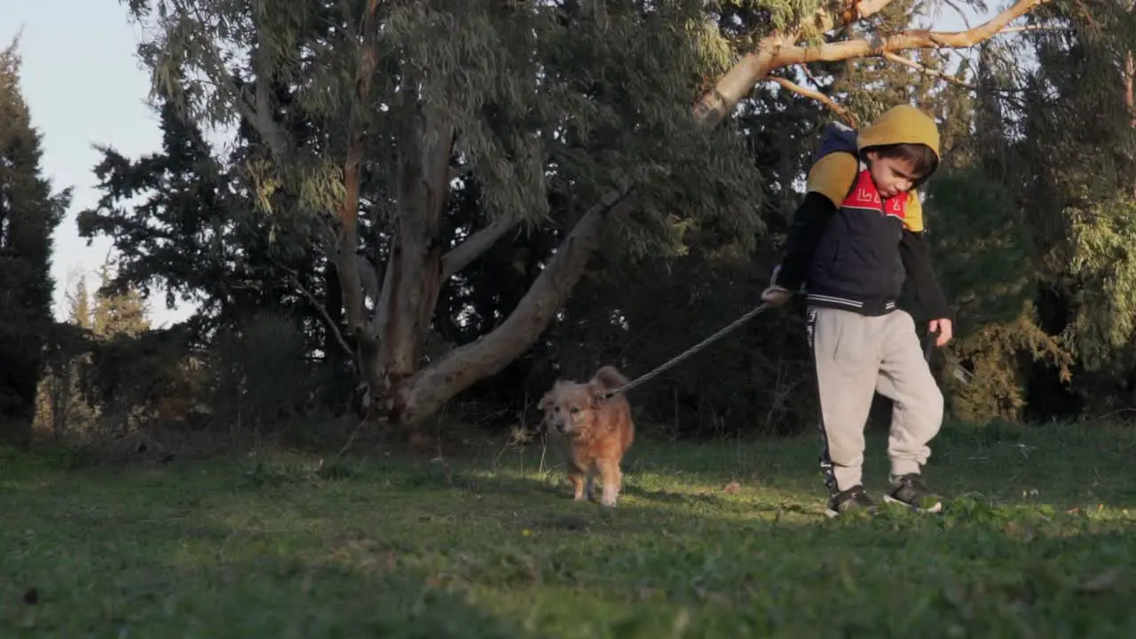 Caucasian boy walks towards the camera taking his pet dog for a walk at the fields using a leash