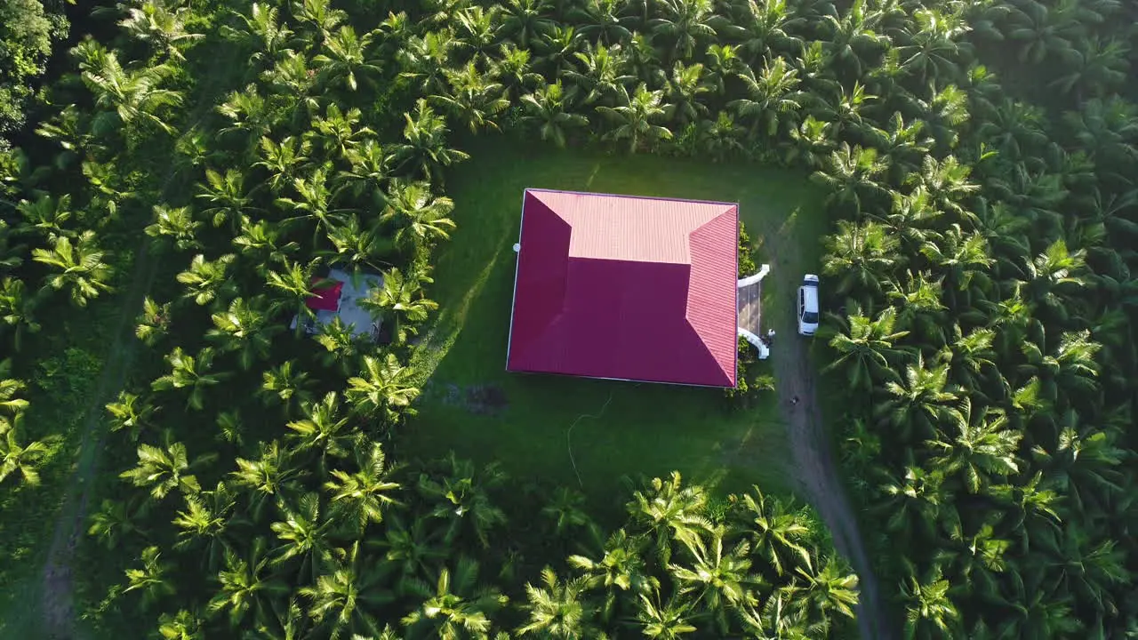 Overhead Aerial View Of A Farm House And Coconut Farm During Sunrise