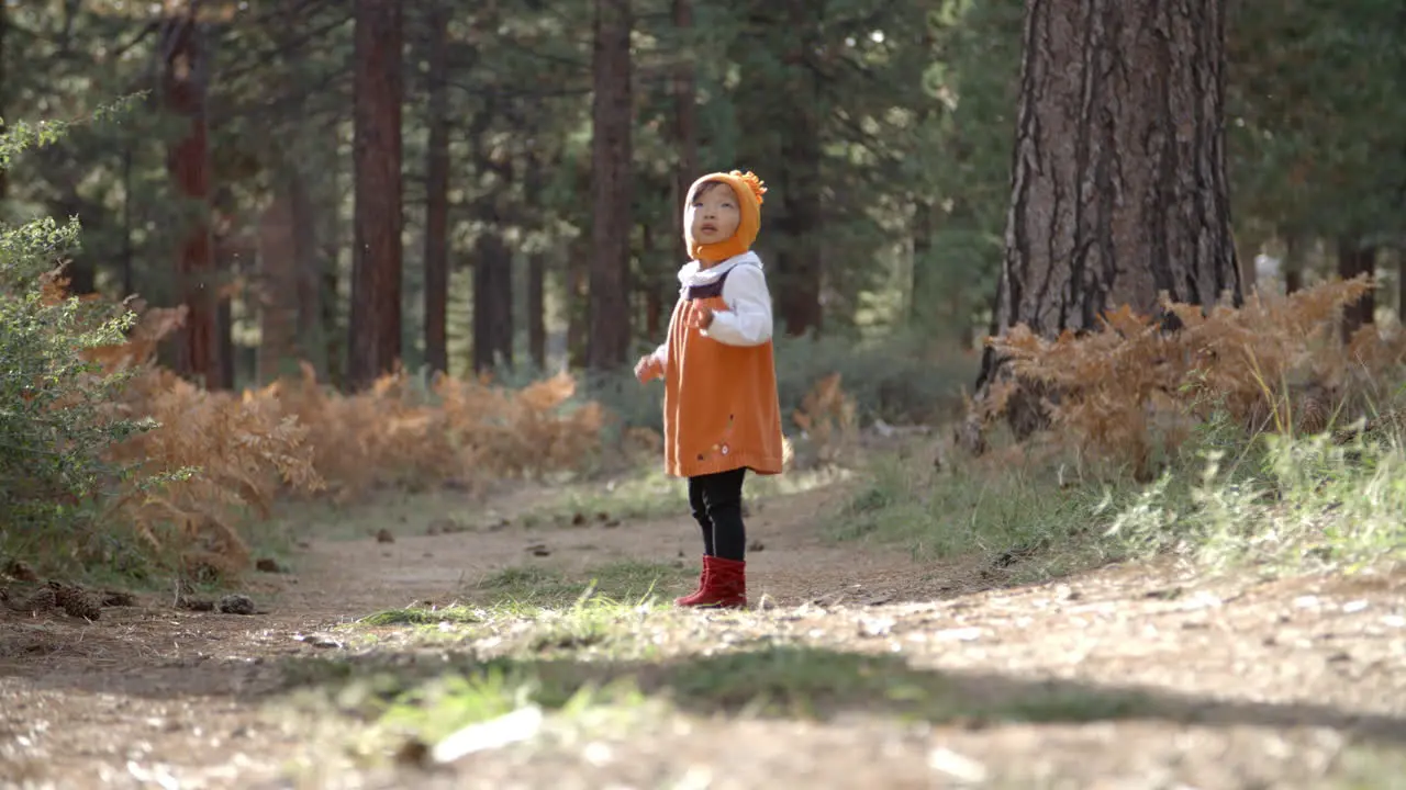 Asian toddler girl playing with fallen pine cone in a forest