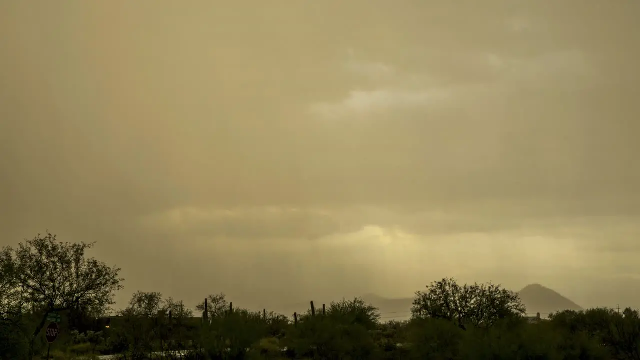 Warm sunset light illuminates the landscape as sheets of monsoon rain drench the Sonoran desert