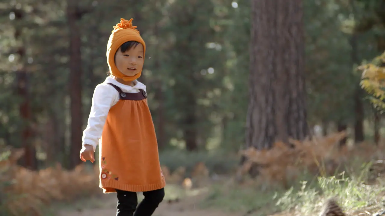 Asian toddler girl plays with pine cone in a forest close up